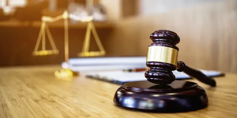 Employment Law and Organizational Stability